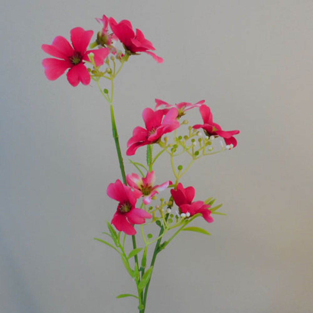 Flax Flowers Hot Pink 48cm | Artificial Flowers